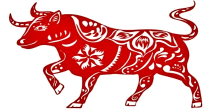 Tử Vi Tuổi Sửu 2026: Dự Báo Chi Tiết Từng Tháng Và Cách Hóa Giải Vận Hạn