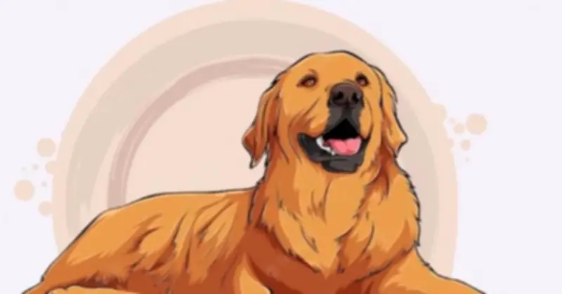 Tử Vi Tuổi Tuất 2026: Thành Công Rực Rỡ Và May Mắn Trên Mọi Phương Diện