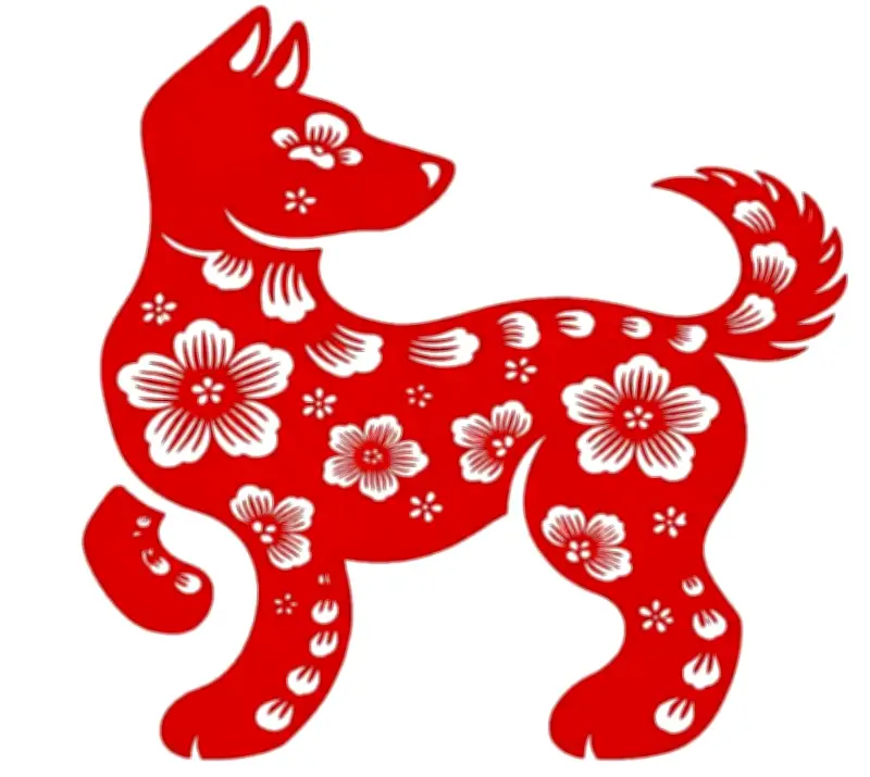 Tử vi tuổi Tuất năm 2026: Cơ hội rộng mở, tài lộc khởi sắc nhưng cần thận trọng