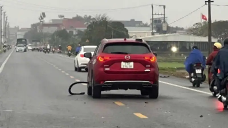 Tai nạn giao thông thảm khốc tại Thái Thụy: Ô tô đâm xe máy điện, 2 học sinh tử vong