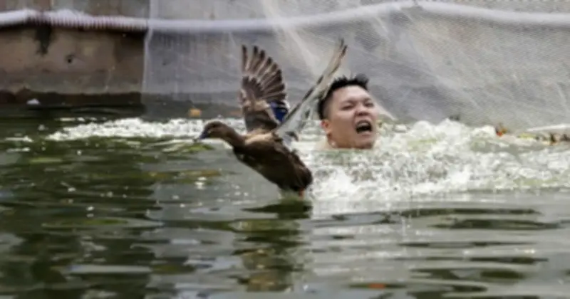 Tai nạn tử vong tại hội vật làng: Báo động an toàn trong lễ hội truyền thống