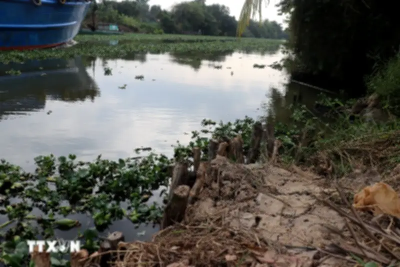 Tây Ninh công bố tình huống khẩn cấp sạt lở bờ kênh Dương Văn Dương