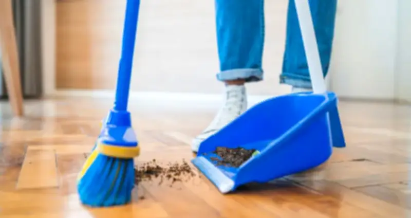 Tục kiêng quét nhà, đổ rác ngày Tết: Nguồn gốc từ truyền thuyết và quan niệm dân gian