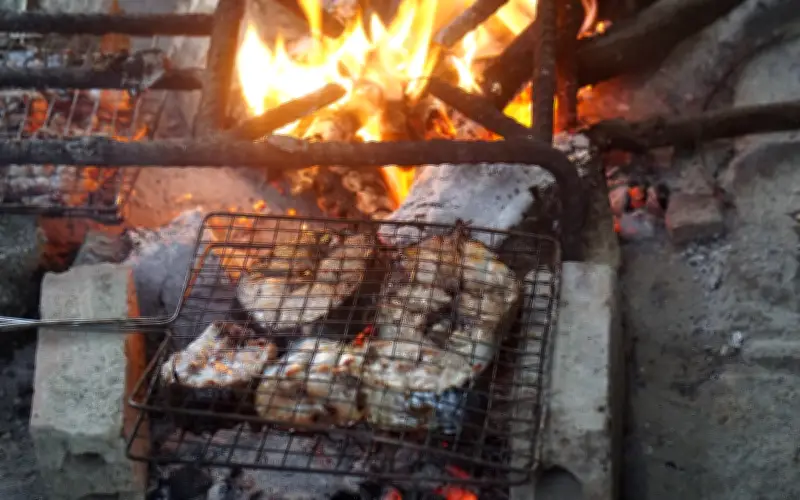 Tục Tháo Ao Bắt Cá Ngày Tết: Lễ Vật Thiêng Liêng Của Người Thái Ở Mơ Thắm