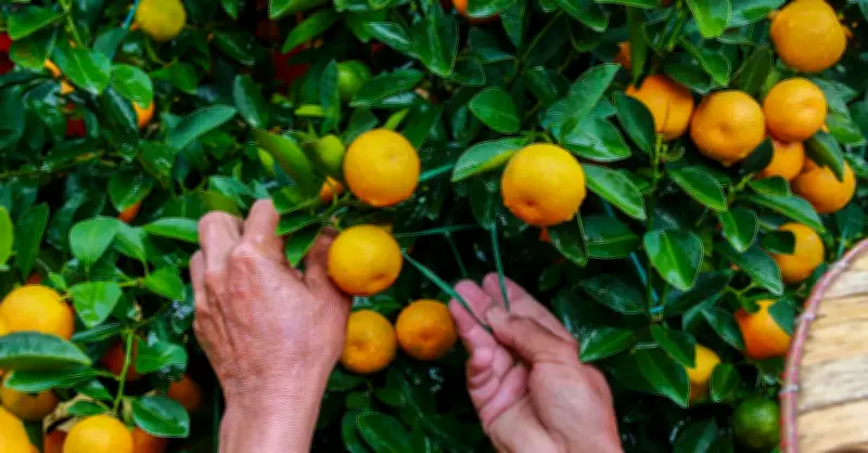 Tết Thầy: Nét đẹp văn hóa Việt và những câu chuyện ấm lòng về nghề giáo