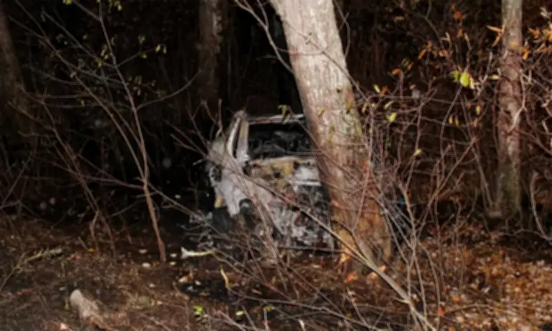 Tesla Bị Kiện Mới Vì Tai Nạn Chết Người: Tài Xế Mắc Kẹt Trong Xe Cháy