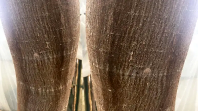 Thử thách tinh mắt: Bạn đếm được bao nhiêu 'bé nhện' ẩn mình trong ảnh gỗ?