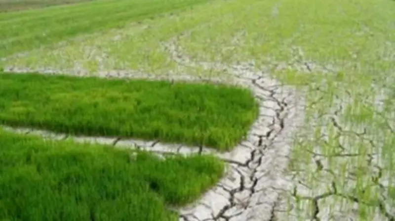 Thủ tướng chỉ đạo ứng phó hạn hán, xâm nhập mặn tại Nam Bộ và Tây Nguyên