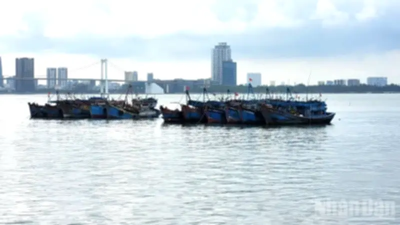 Thủ tướng chỉ đạo quyết liệt chống khai thác IUU, tập trung gỡ 'thẻ vàng' trước kiểm tra EC