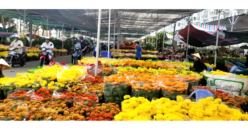 Thị trường hoa kiểng Tết tại Đồng Tháp và Cần Thơ ế ẩm, nhà vườn lao đao trước giao thừa