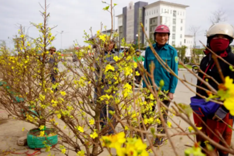 Thị trường hoa Tết Hà Tĩnh sôi động giờ chót, tiểu thương xả hàng giảm giá sâu