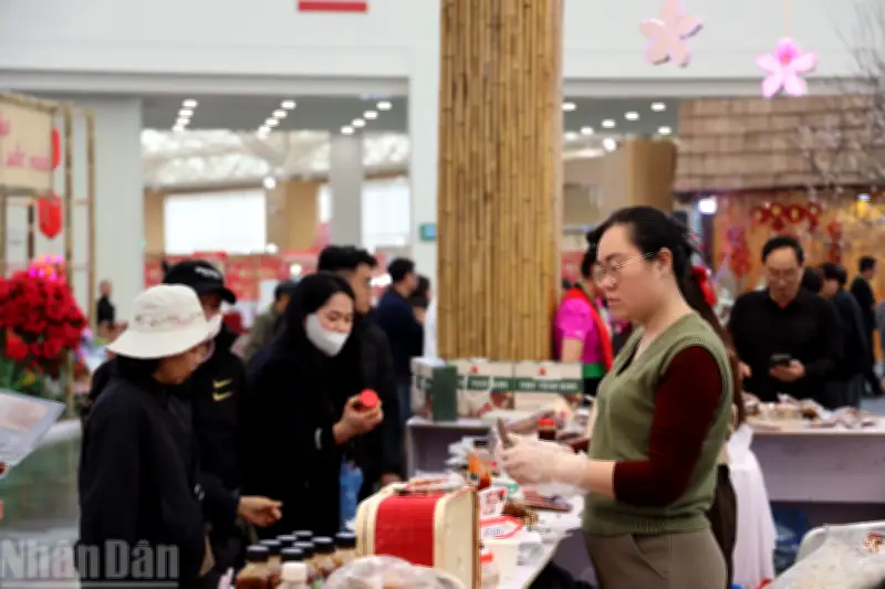 Thị trường Tết 2026: Cân bằng ổn định từ cao điểm đến hậu Tết