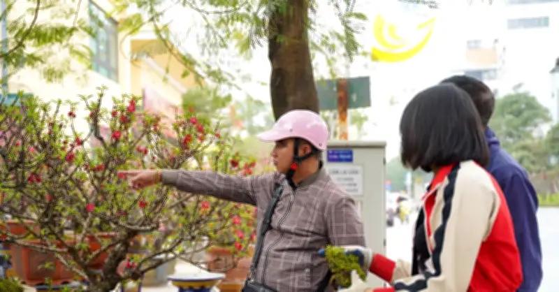 Đảo Thạch Thôn: Giá thuê nhà phố dịp Tết tăng vọt lên 200 triệu đồng