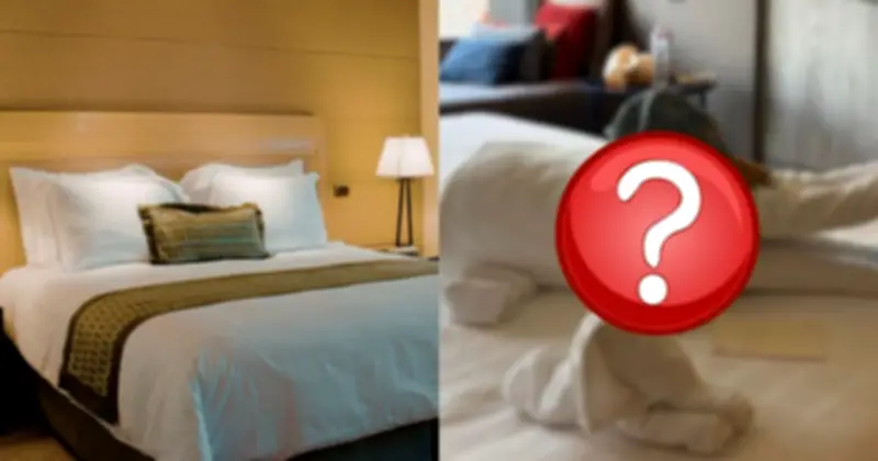 Du lịch Thái Lan: Xu hướng 'đặt hàng' động vật khăn tắm gây sốt