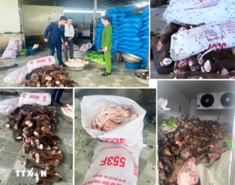 Thanh Hóa phát hiện gần 6 tấn thực phẩm bán không rõ nguồn gốc
