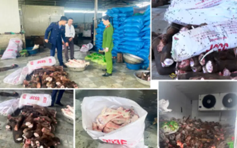 Thanh Hóa phát hiện gần 6 tấn thực phẩm bẩn, Đà Lạt tạm đình chỉ hiệu trưởng