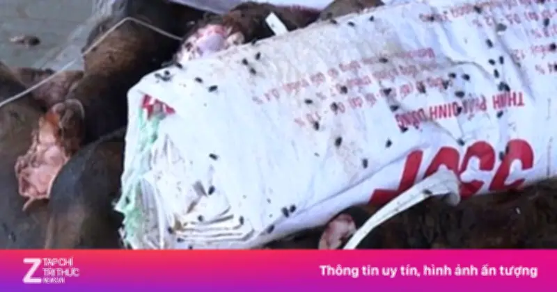 Thanh Hóa: Phát Hiện Gần 6 Tấn Đuôi, Chân Trâu Bò Không Rõ Nguồn Gốc Bốc Mùi Thối