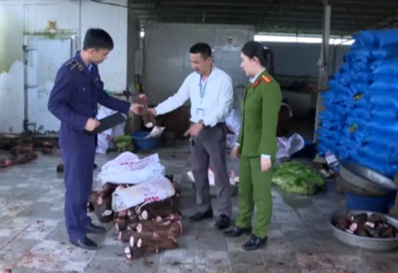 Thanh Hóa: Phát Hiện Gần 6 Tấn Xương, Chân Trâu Bò Hư Hỏng Không Rõ Nguồn Gốc