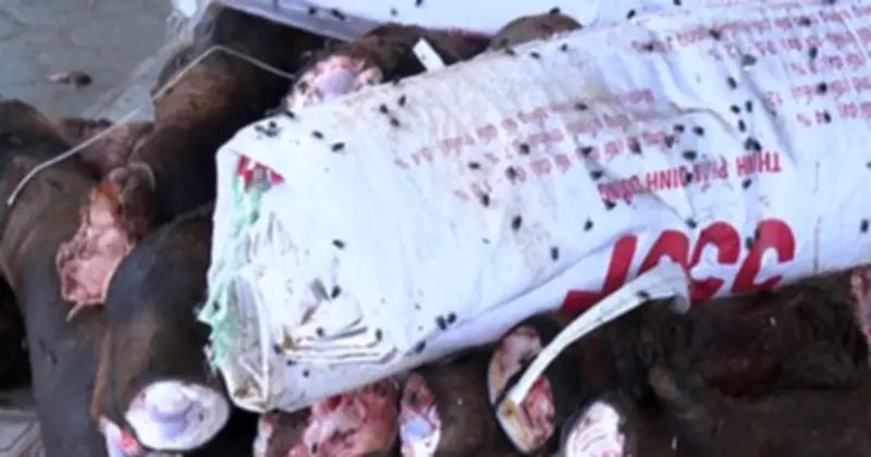 Thanh Hóa: Phát Hiện Gần 6 Tấn Xương, Chân Trâu Bò Không Rõ Nguồn Gốc Tại Hai Cơ Sở