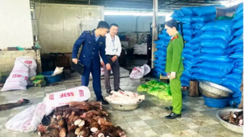 Thanh Hóa: Phát hiện gần 6 tấn xương, chân trâu bò không rõ nguồn gốc tại hai kho lạnh