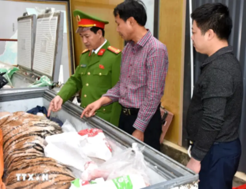 Thanh Hóa triệt phá đường dây mua bán, tàng trữ trái phép chất ma túy