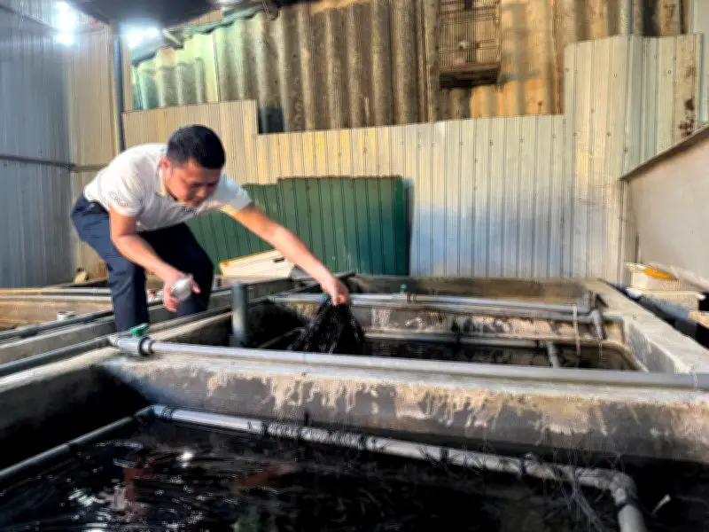 Thanh niên Hà Tĩnh thành công với mô hình nuôi lươn không bùn, doanh thu hơn 6,6 tỷ đồng/năm