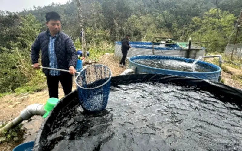Thanh niên miền Bắc lập trang trại cá hồi, cá tầm thành công tại Đà Nẵng