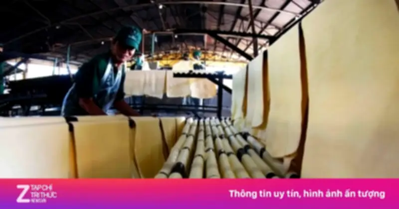 Thanh Tra Chính Phủ Chỉ Ra Nhiều Vi Phạm Trong Quản Trị Tại Tập Đoàn Cao Su Việt Nam
