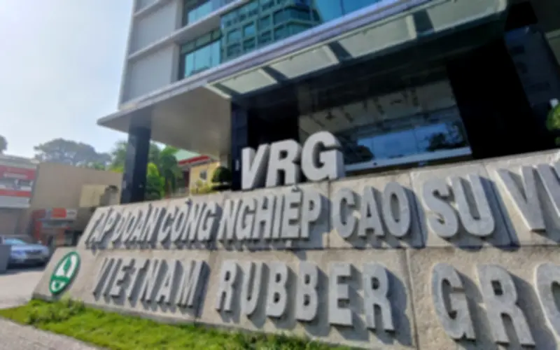 Thanh Tra Chính Phủ Cảnh Báo Nguy Cơ Mất Vốn Nhà Nước Tại Tập Đoàn Cao Su Việt Nam