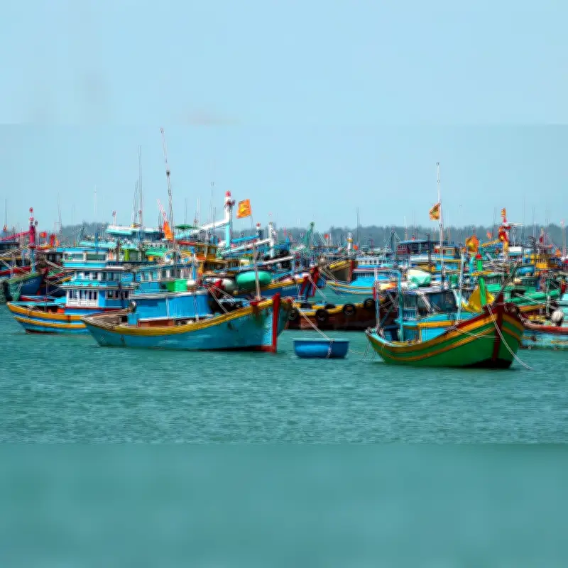 Thanh tra EC sắp vào Việt Nam kiểm tra IUU lần thứ 5, ngành thủy sản chạy đua chuẩn bị