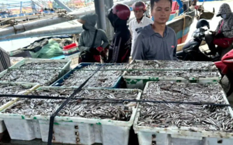 Thực phẩm vàng cho làn da khỏe mạnh: Từ cá cơm đến quả mọng