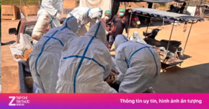 Thái Lan khẩn cấp kiểm soát dịch bệnh khiến 72 con hổ nuôi nhốt tử vong