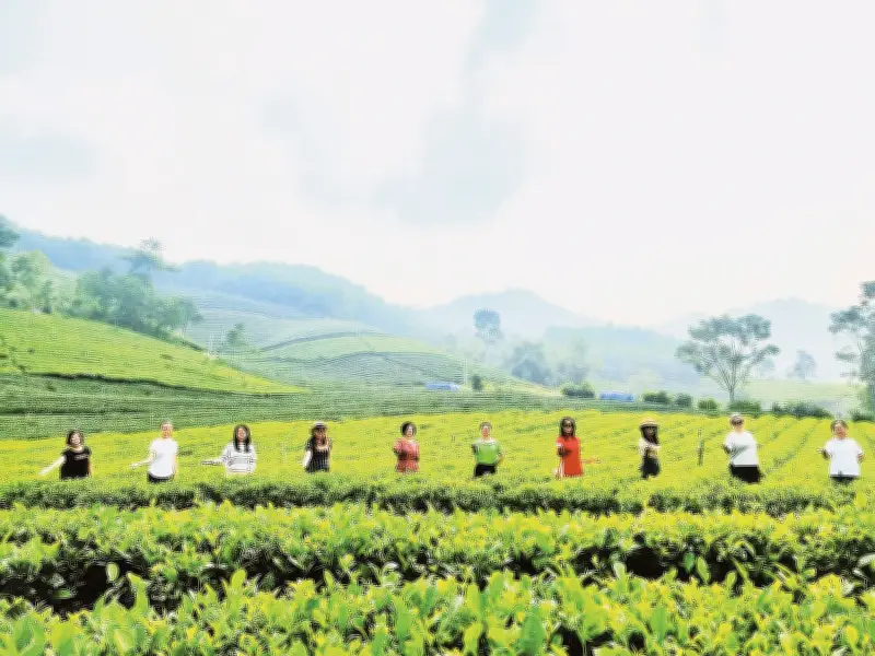 Thái Nguyên: Du lịch bứt phá với 7,3 triệu lượt khách, hướng tới mục tiêu 8 triệu năm 2026