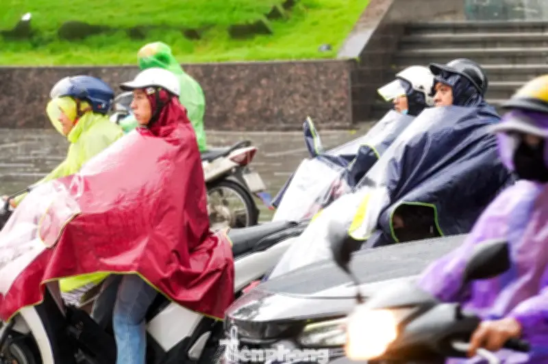 Thời tiết dịp Tết: Miền Bắc rét đậm, miền Nam nắng nóng, miền Trung mưa rải rác