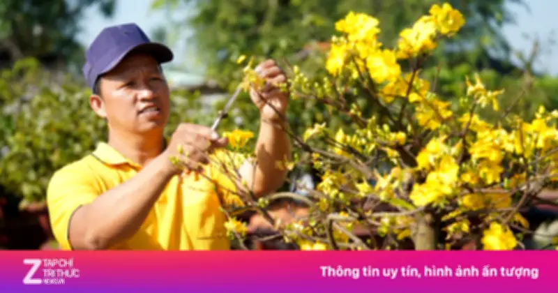 Thời tiết mùng 5 Tết: Miền Nam nắng nóng, có nơi vượt 35°C