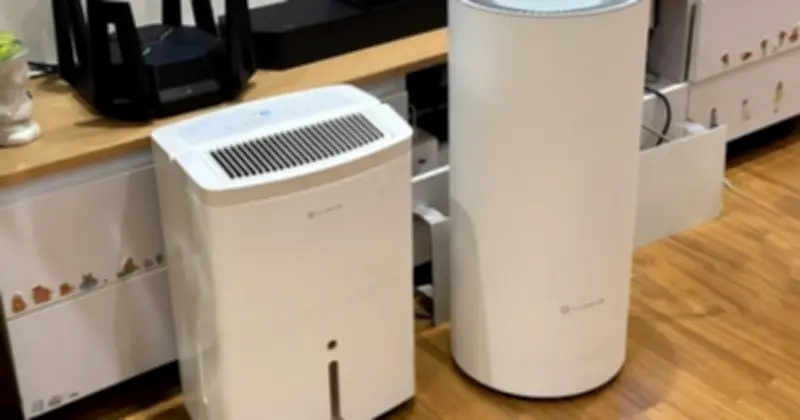 Thời Tiết Nồm ẩm Thúc Đẩy Doanh Số Máy Hút ẩm Và Máy Giặt Sấy Tăng Vọt