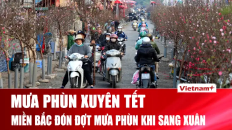 Thời tiết Tết 2026: Miền Bắc đón Tết trong mưa phùn, nhiều sự kiện nổi bật