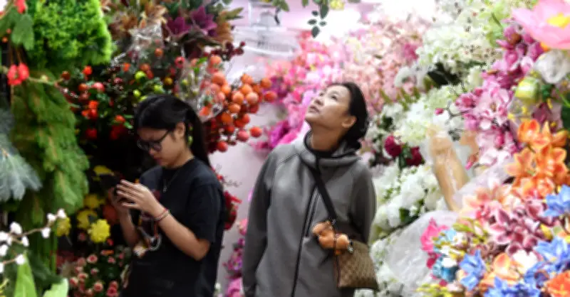 Thời tiết Tết Nguyên đán 2026: Miền Bắc đón không khí lạnh đúng đêm Giao thừa