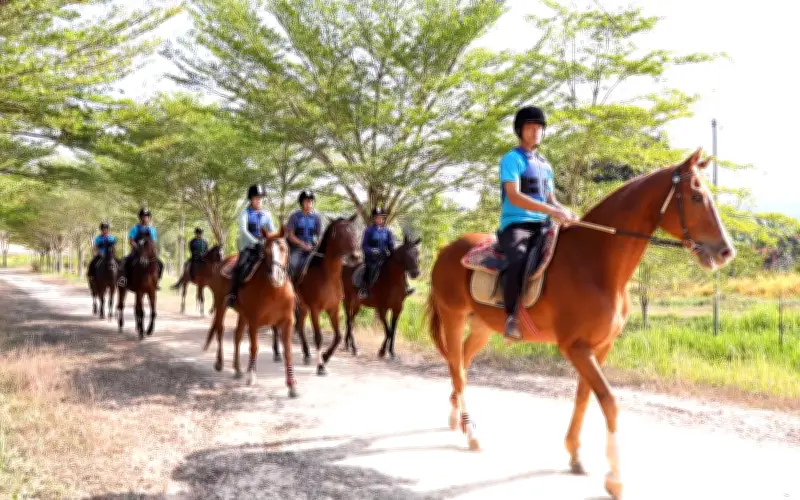 Thiên Mã Madagui: Nhịp Vó Ngựa Mở Lối Đánh Thức Vùng Đất Đại Ngàn