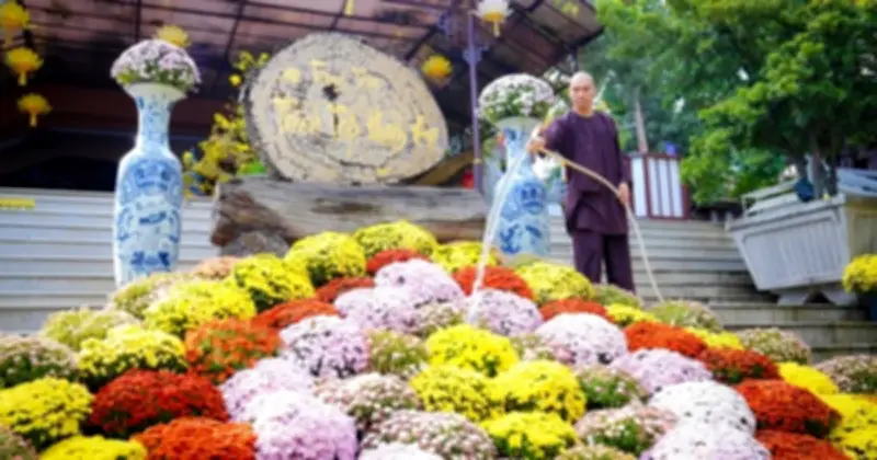 Thông điệp 'Mừng xuân Di Lặc': Lời nhắc về sự bao dung và chữa lành nội tâm