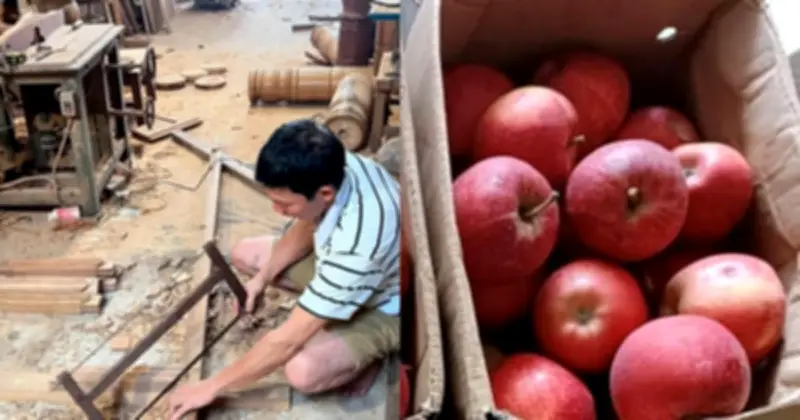 Thùng Táo 3 Năm Và Sự Thật Cảm Động Về Món Nợ Ân Tình Được Trả Trong Thầm Lặng