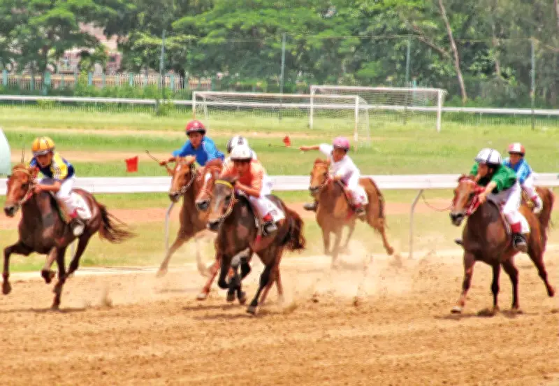 Thăng trầm của ngựa đua Sài Gòn: Từ thú chơi thượng lưu đến kỳ vọng hồi sinh
