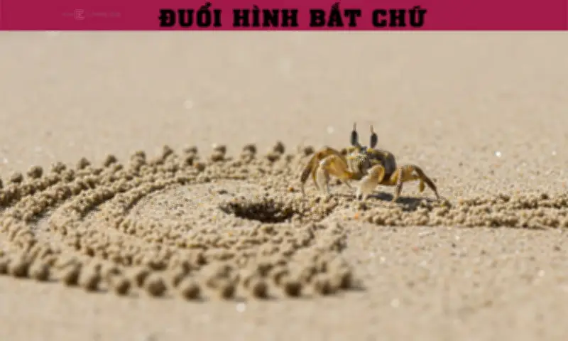 Thành ngữ ẩn sau chú cua nhỏ: Công lao vô ích, đáp án bất ngờ