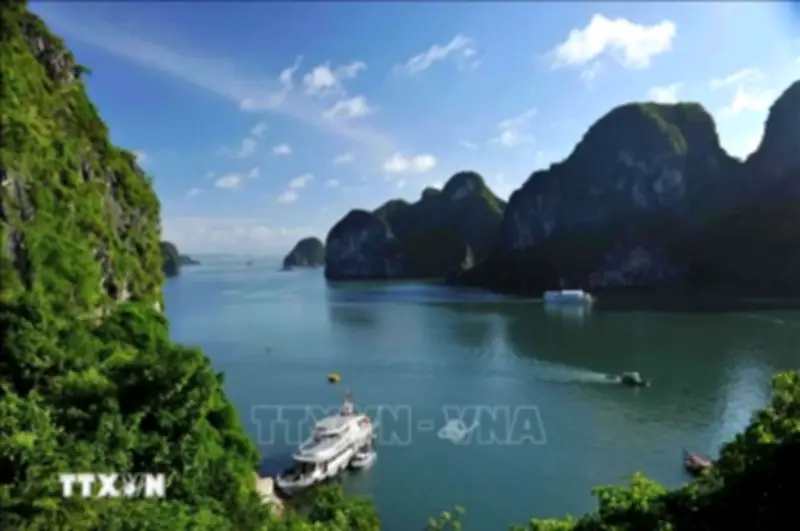 Thuyền Ba Vách truyền thống chính thức được phép phục vụ du lịch trên Vịnh Hạ Long