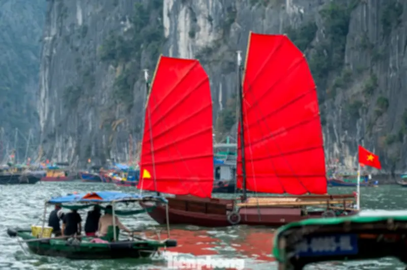 Thuyền Buồm Ba Vách Đỏ Rực Rỡ Trên Vịnh Hạ Long Tạm Dừng Để Nâng Cấp