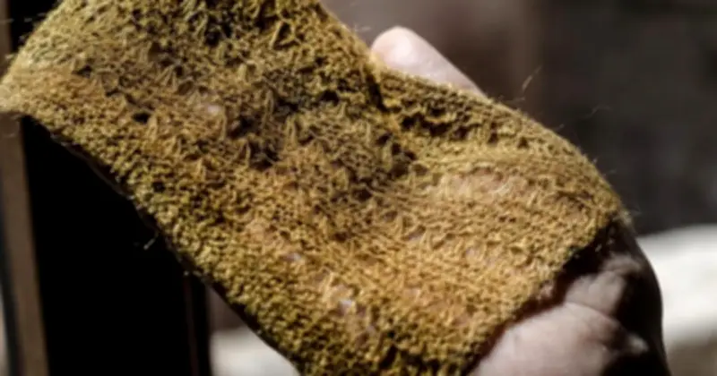 Tái sinh 'vàng biển' 2.000 năm tuổi: Công nghệ hồi sinh vải dành riêng cho hoàng đế