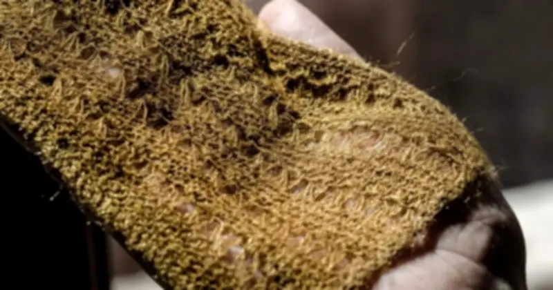 Tái tạo thành công tơ lụa biển - vải vàng huyền thoại của hoàng đế La Mã