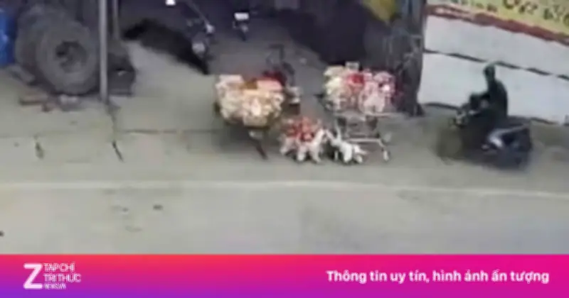 Tài xế 'ma men' tông chết bé 3 tuổi, một cháu bị thương nặng khi đang chơi trước nhà