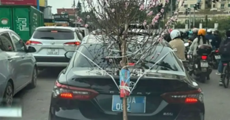 Tài xế ô tô biển xanh bị phạt 23 triệu đồng vì che lấp biển số tại Hà Nội
