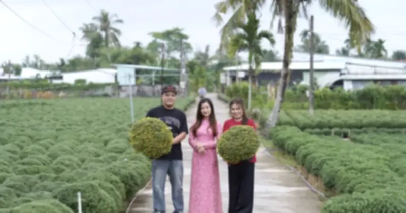 TikTok Shop bán gấp đôi mục tiêu, 200.000 đơn hoa cảnh đón Tết 2026